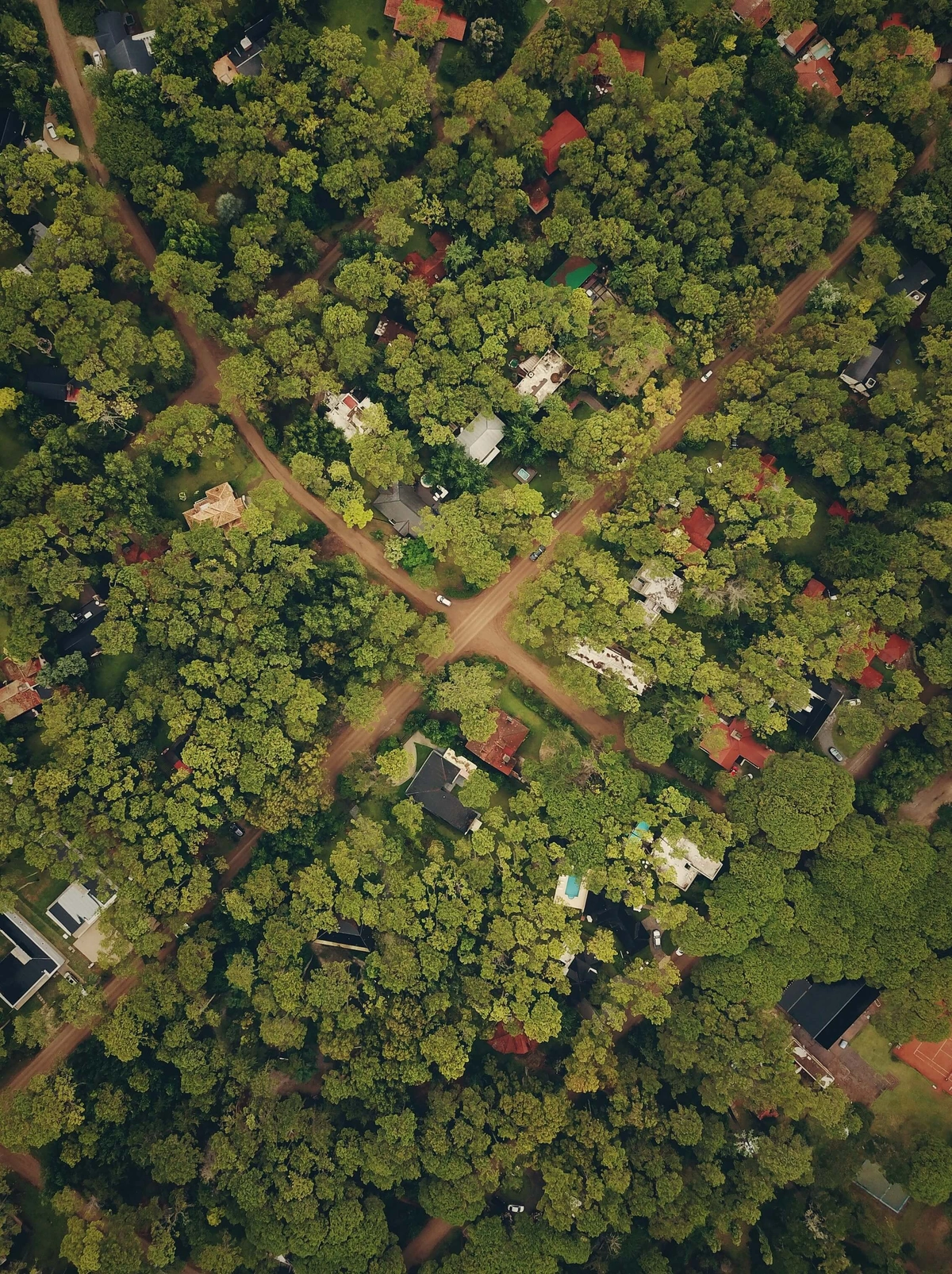 Aerial photography showing a green area