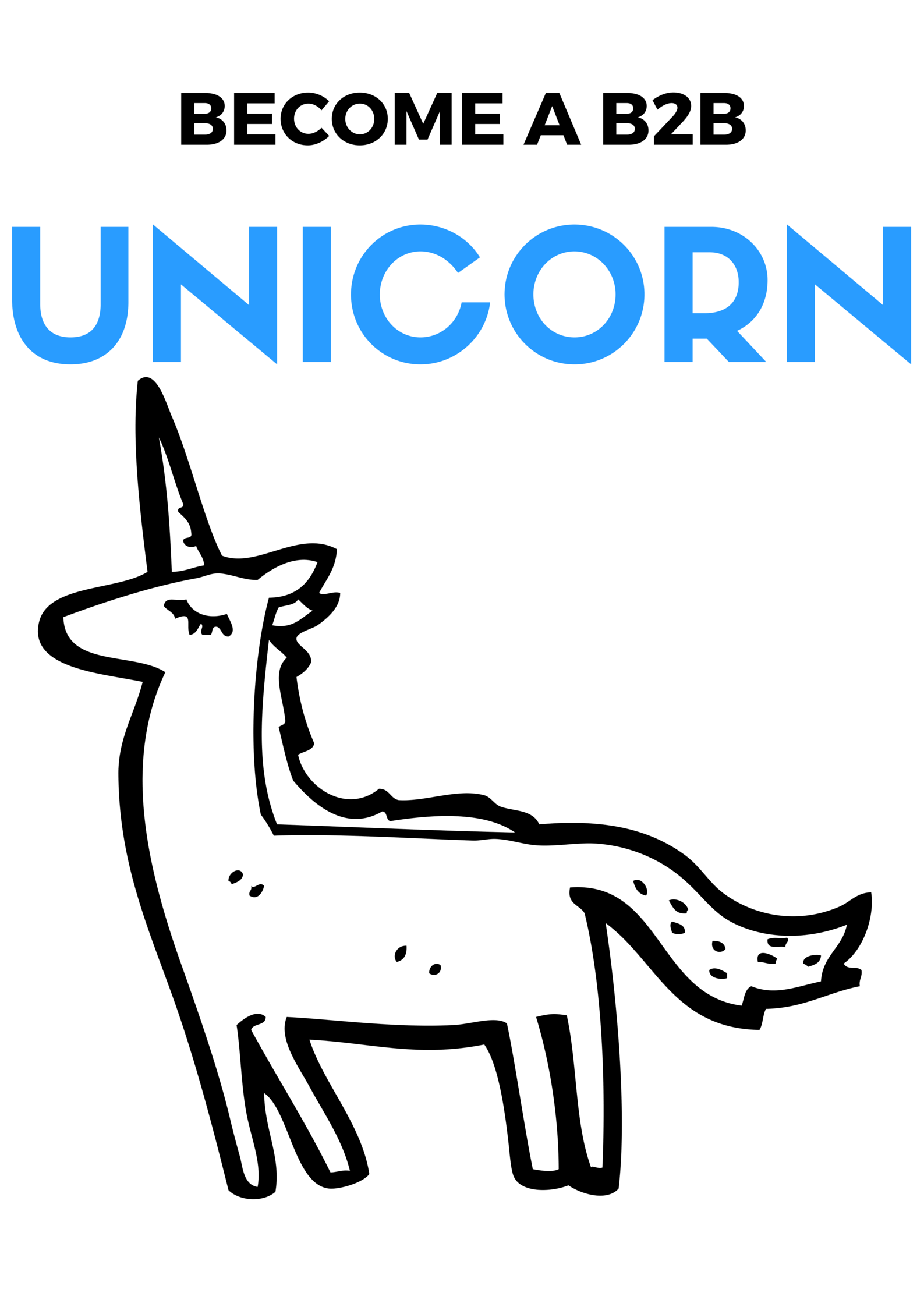 How to Turn Your B2B Business Into a Unicorn
