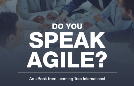 Do You Speak Agile?