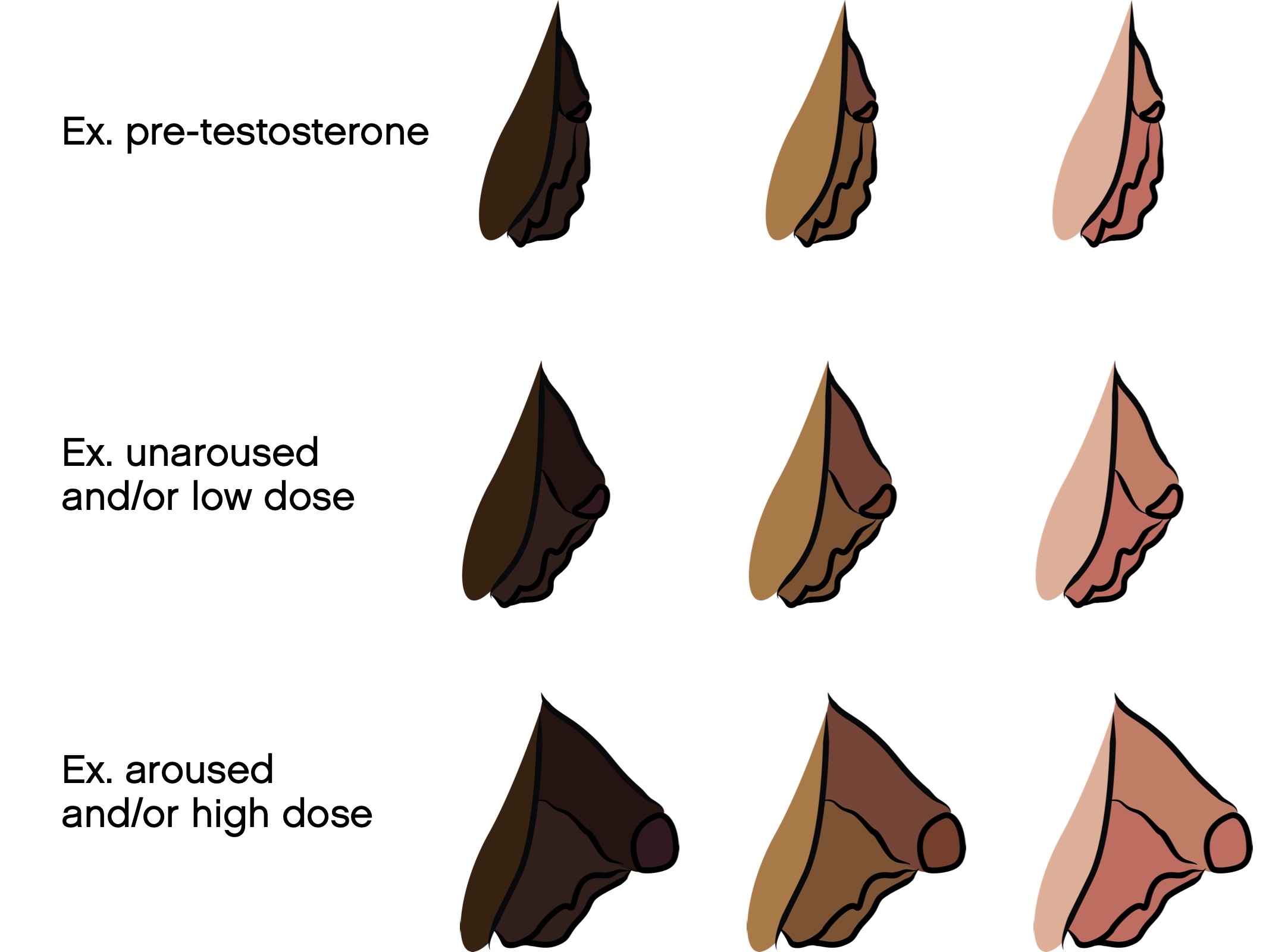 Bottom growth on testosterone pictures