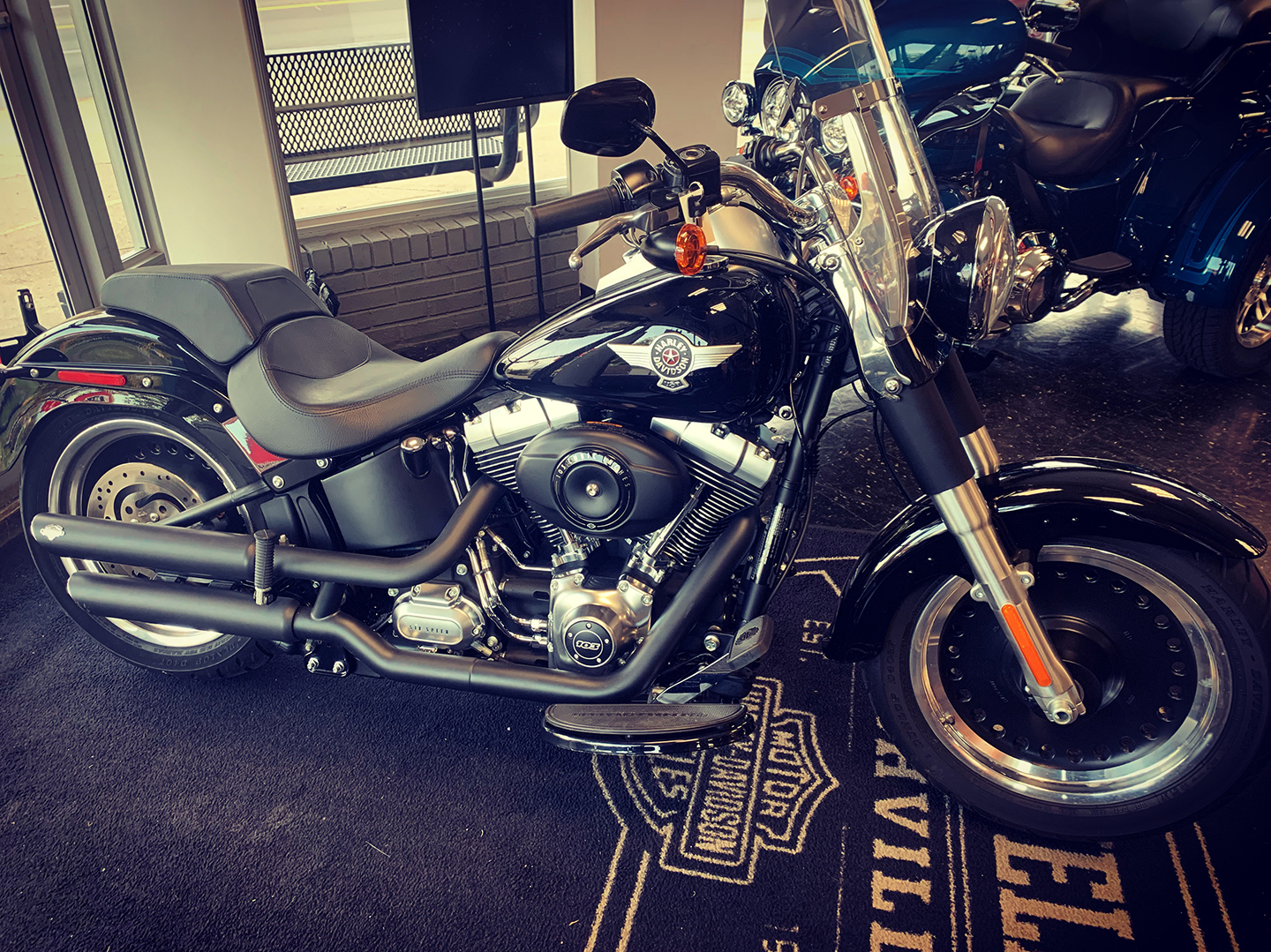 Jessica Suchter's 2014 Harley-Davidso...