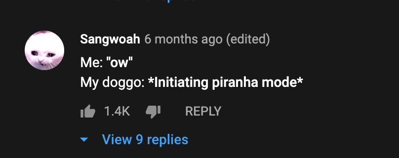Youtube comment section screenshot