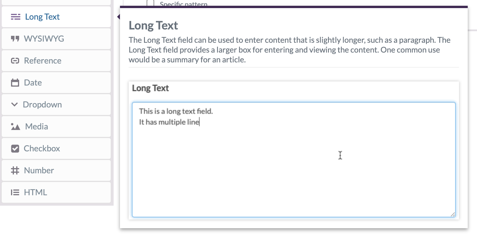 Screenshot: ButterCMS long text field