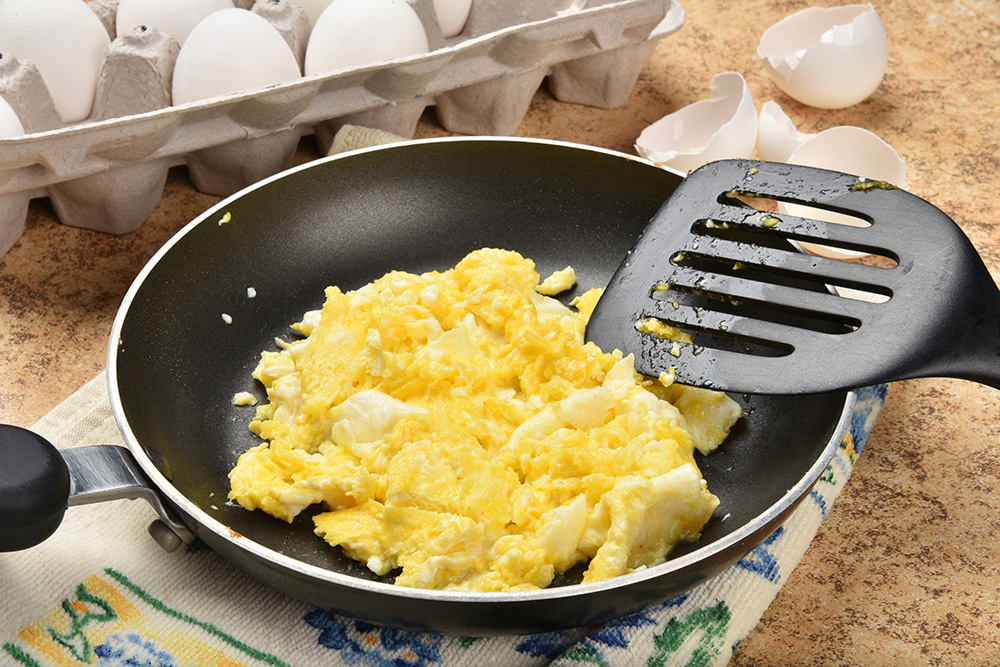 are scrambled eggs good for puppies