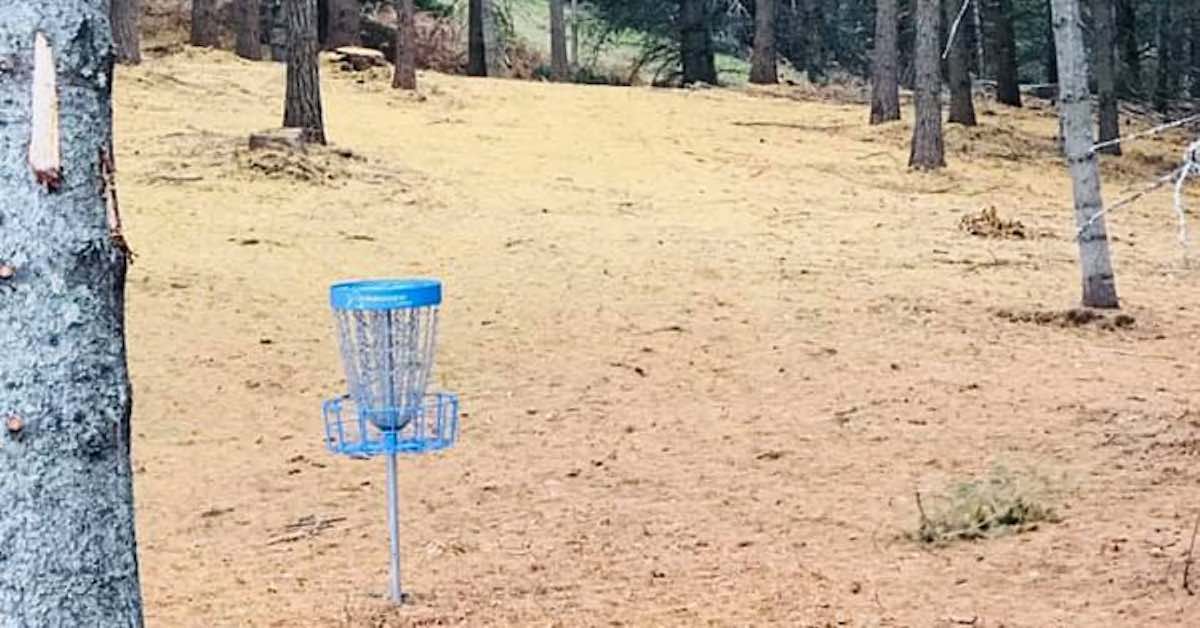 A blue disc golf basket in a wooded area