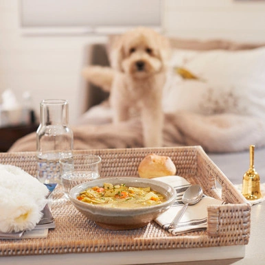 A bowl of soup, a roll and a spoon sit on a tray with a dod in the background 