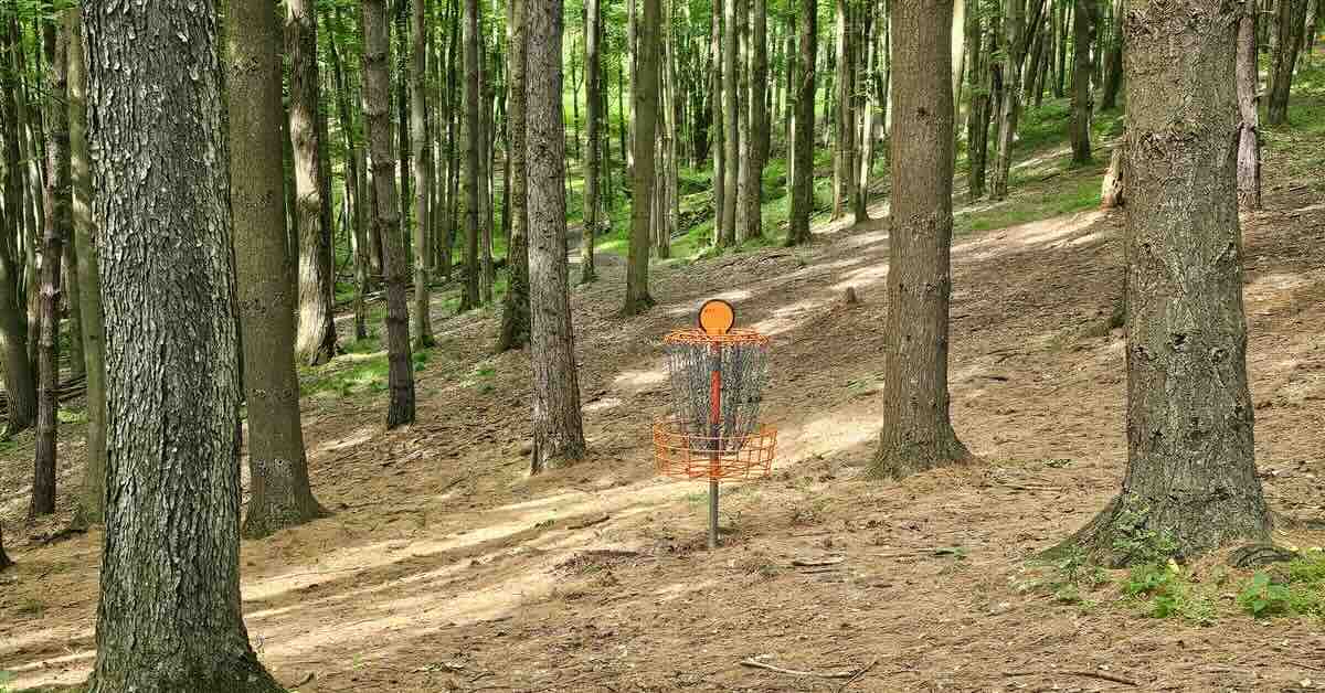An orange disc golf basket in a densely wooded area