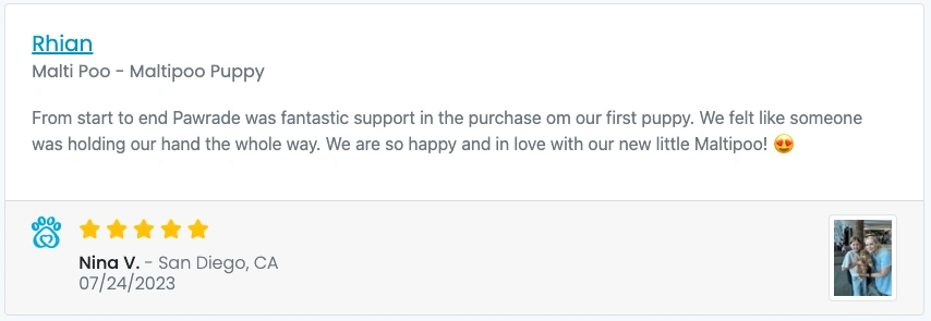 Screen Shot 2023-09-02 at 3.25.23 PM.webp