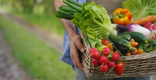 spring-season---grow-a-garden-to-save-money2-min.jpg grow your own food