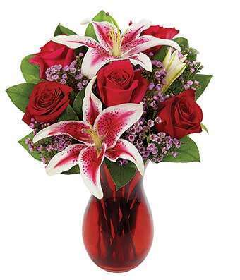 Stargazer Lilies