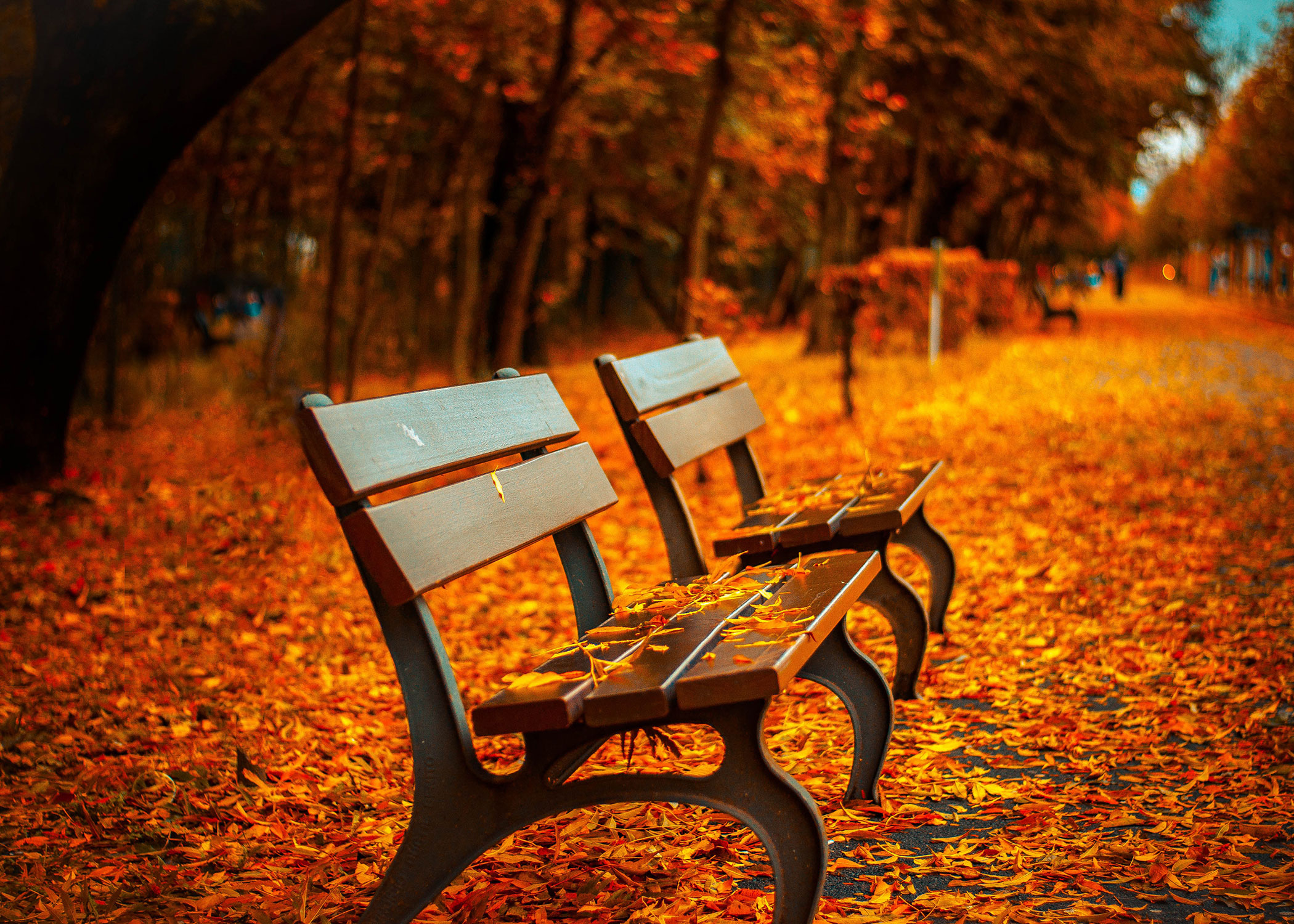 4 best places to see fall foliage in boston doorsteps rent