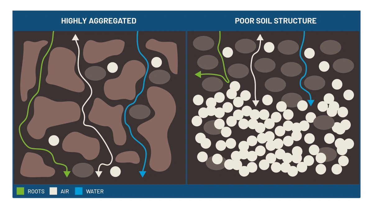 soil aggregation image