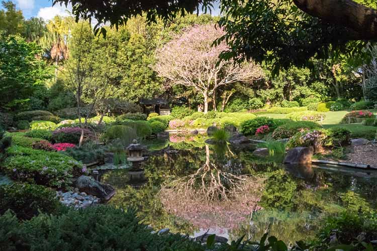 enjoy a day in the mounts botanical gardens