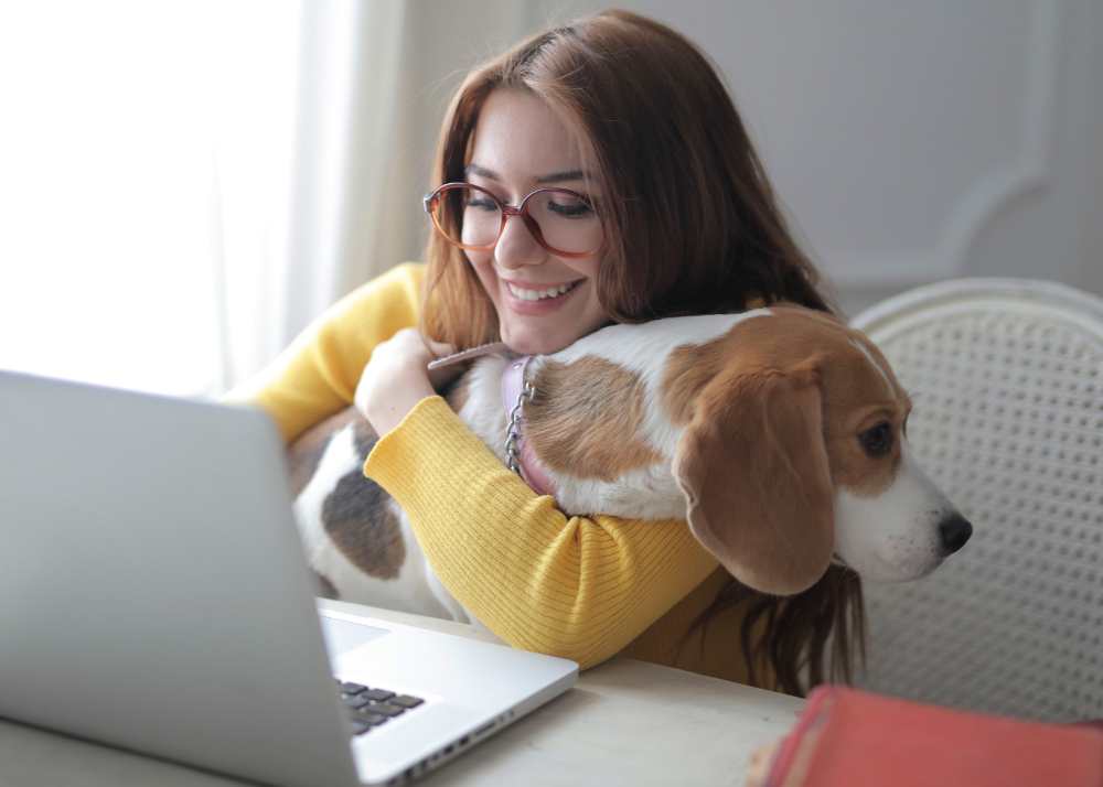 A seated woman with glasses faces a laptop and hugs a Beagle