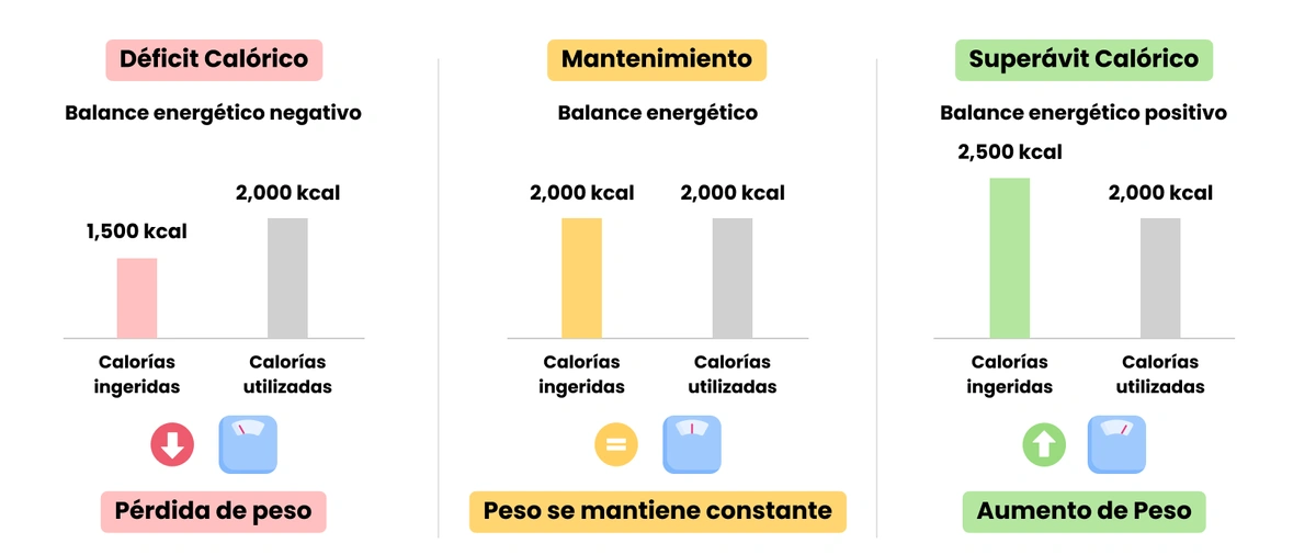 ¿La Avena Engorda O Adelgaza? ¿Qué Dice La Ciencia?