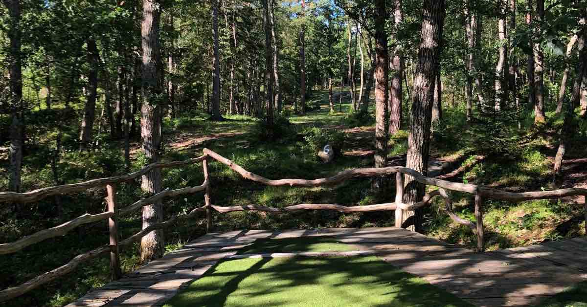 A large wooden platform with a turf tee in front of a tightly wooded disc golf fairway