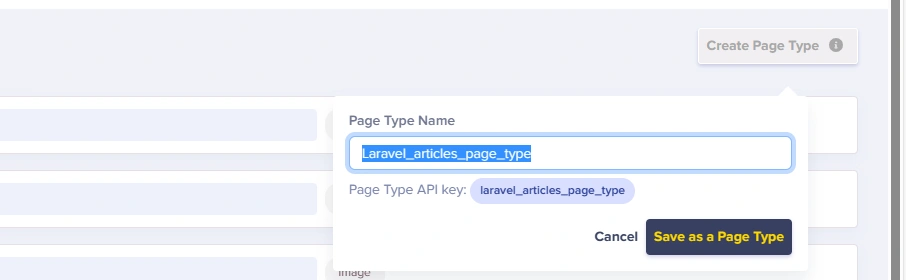 Name page type "laravel_articles_page_type"