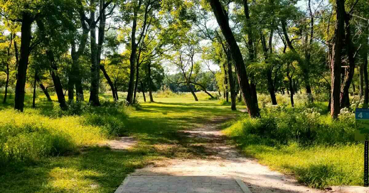 A concrete disc golf tee pad in a green area with scattered trees
