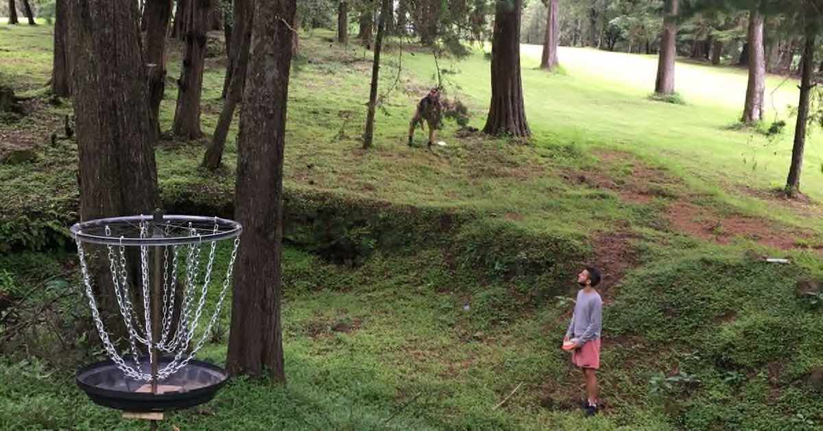 A self-made disc golf basket in a wooded area