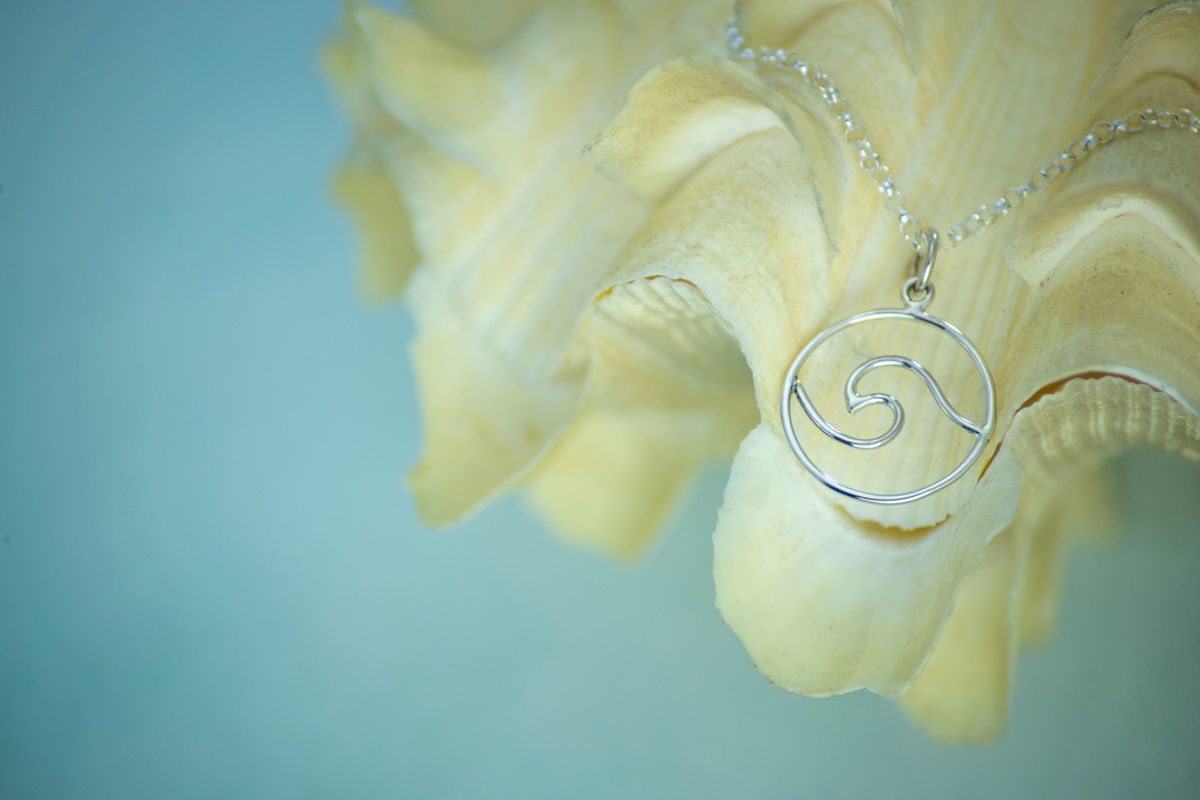 Temperature corrected image of wave charm on seashell