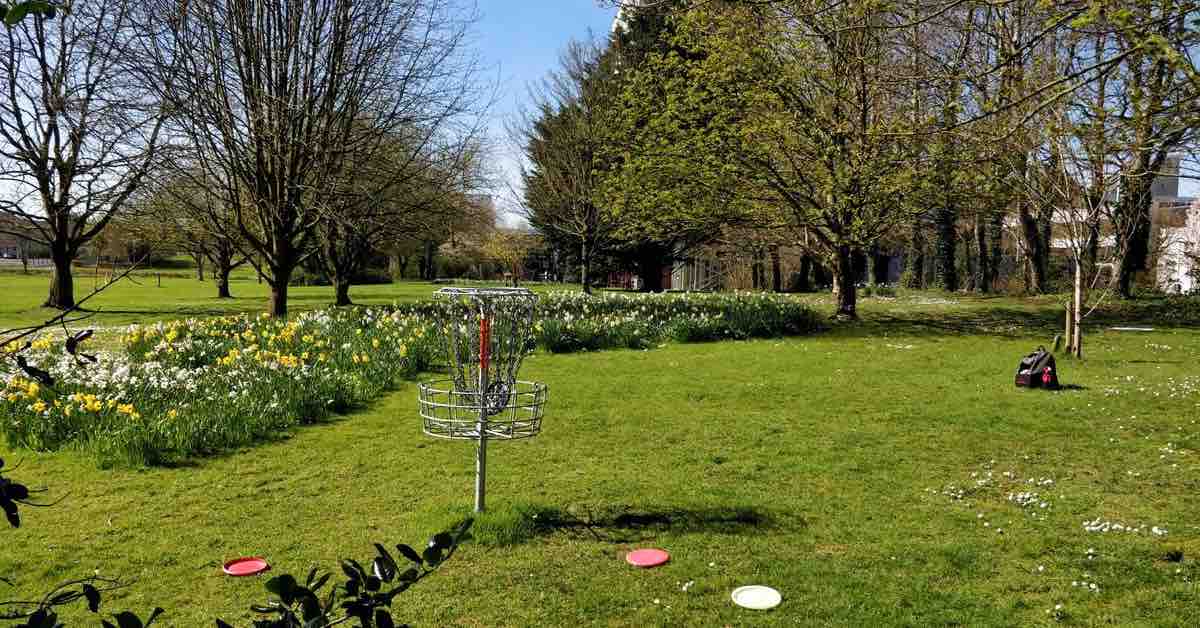 A disc golf basket in front of blooming flowers in a park-like setting