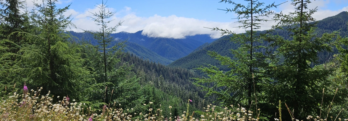 Sitkum Sol Duc Road.webp