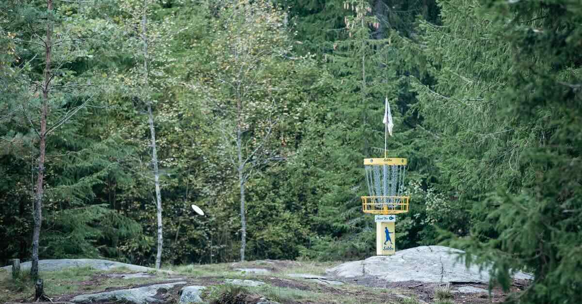 A disc golf basket mounted on exposed rock in a forested area