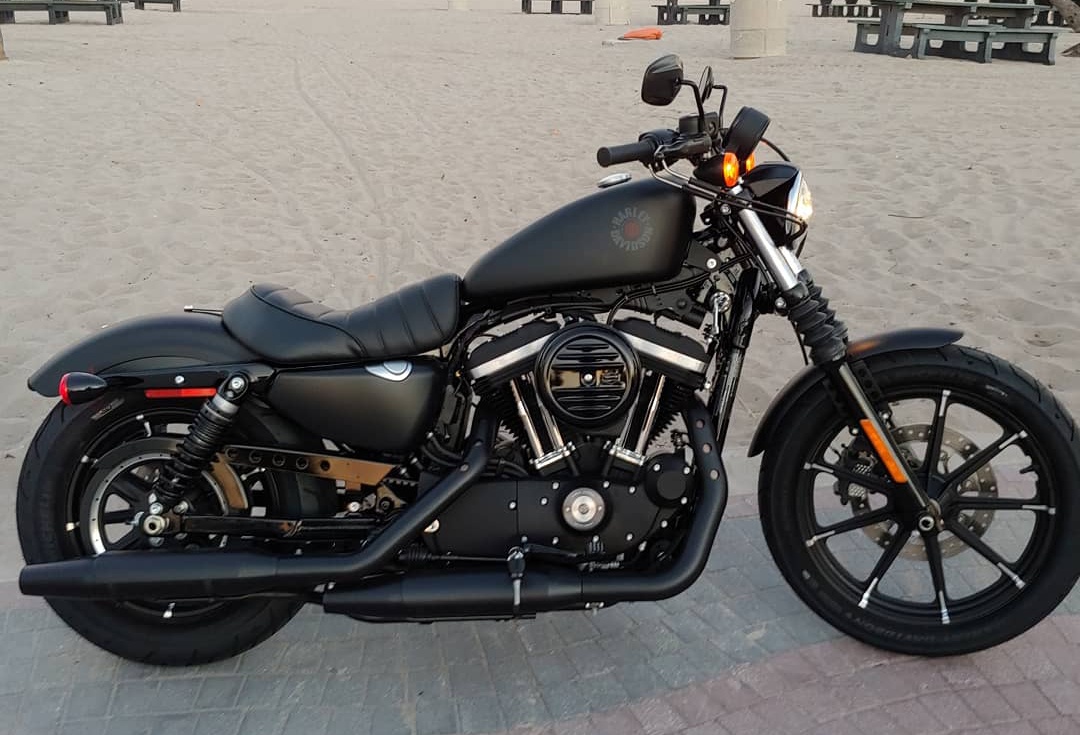 2020 Harley-Davidson Iron 883.jpg