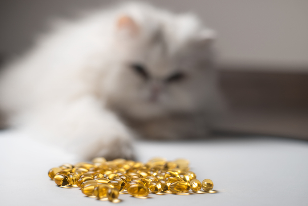 Cod Liver Oil for Dogs: Benefits and Uses