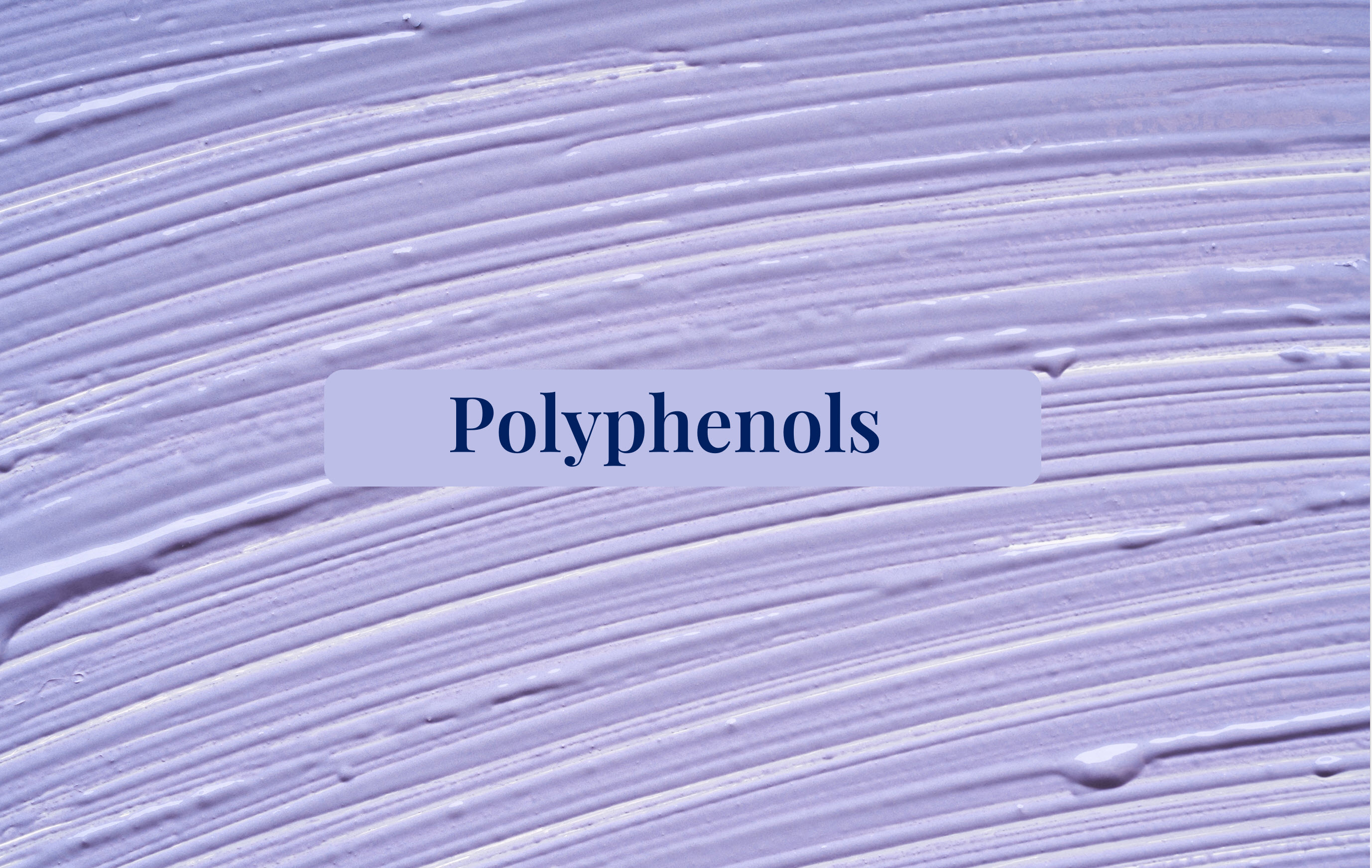 The word polyphenol on a lavender background