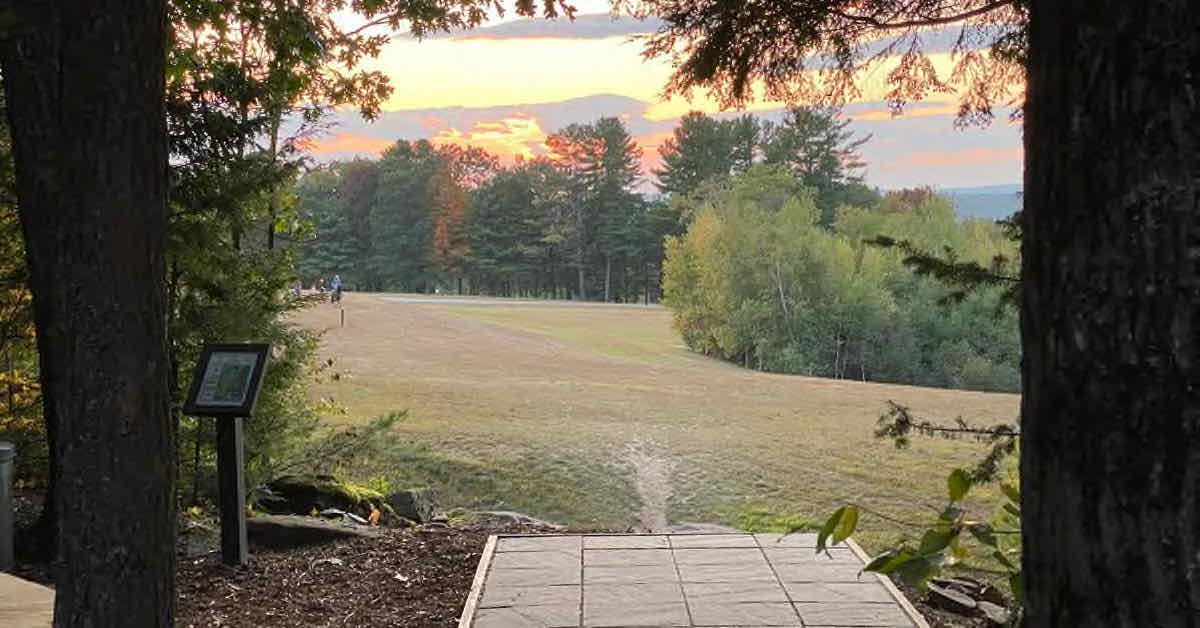Sunset as seen through a frame of trees from a disc golf tee pad