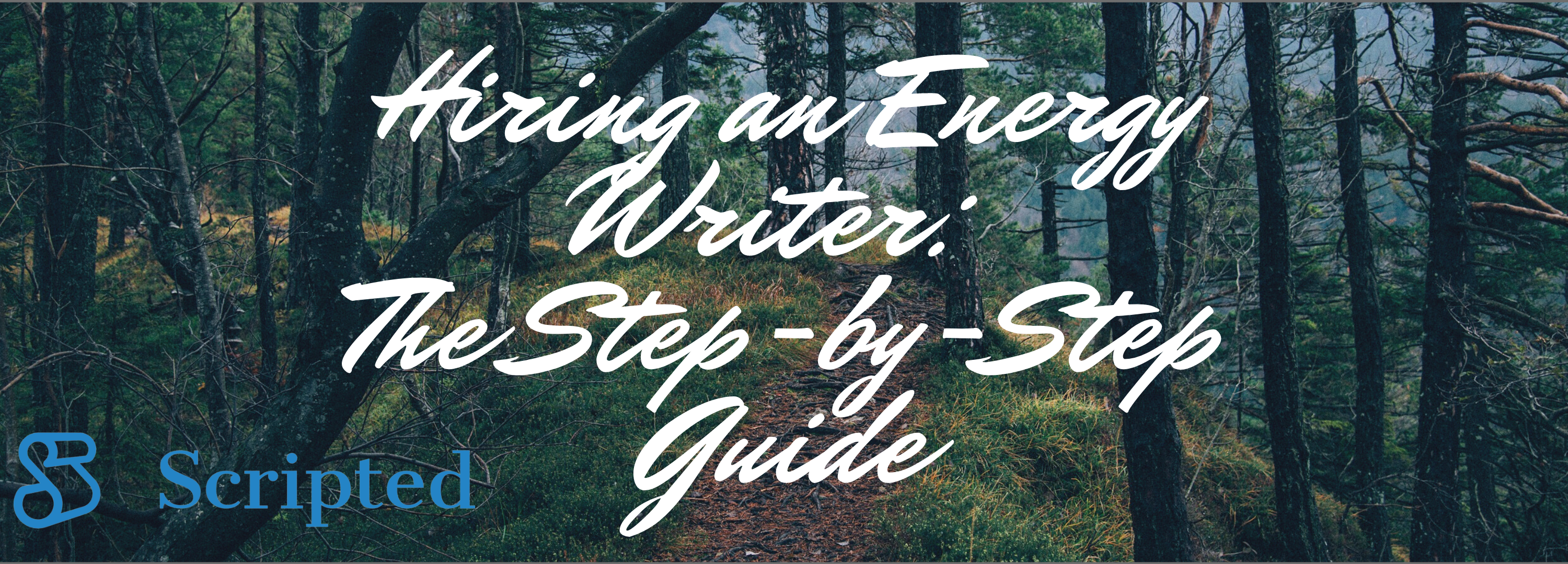 Hiring an Energy Writer: The Step-by-Step Guide