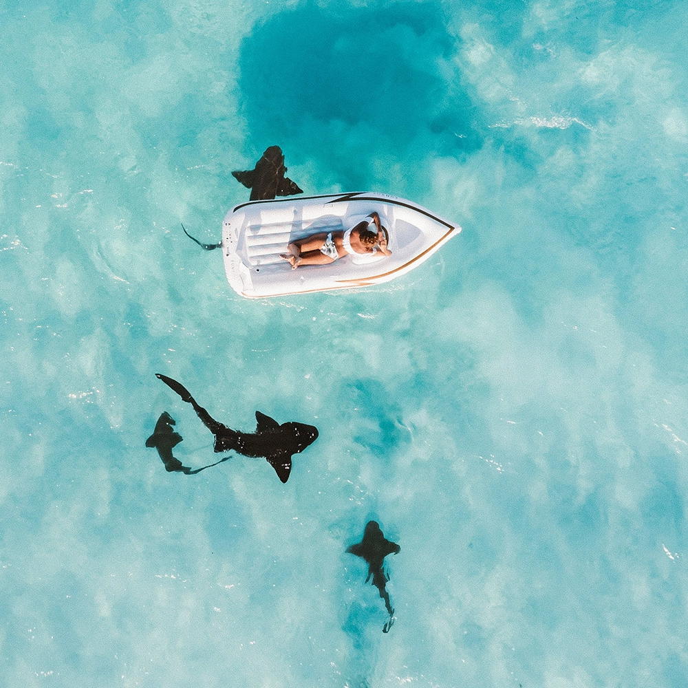 Woman floating on raft with sharks.webp