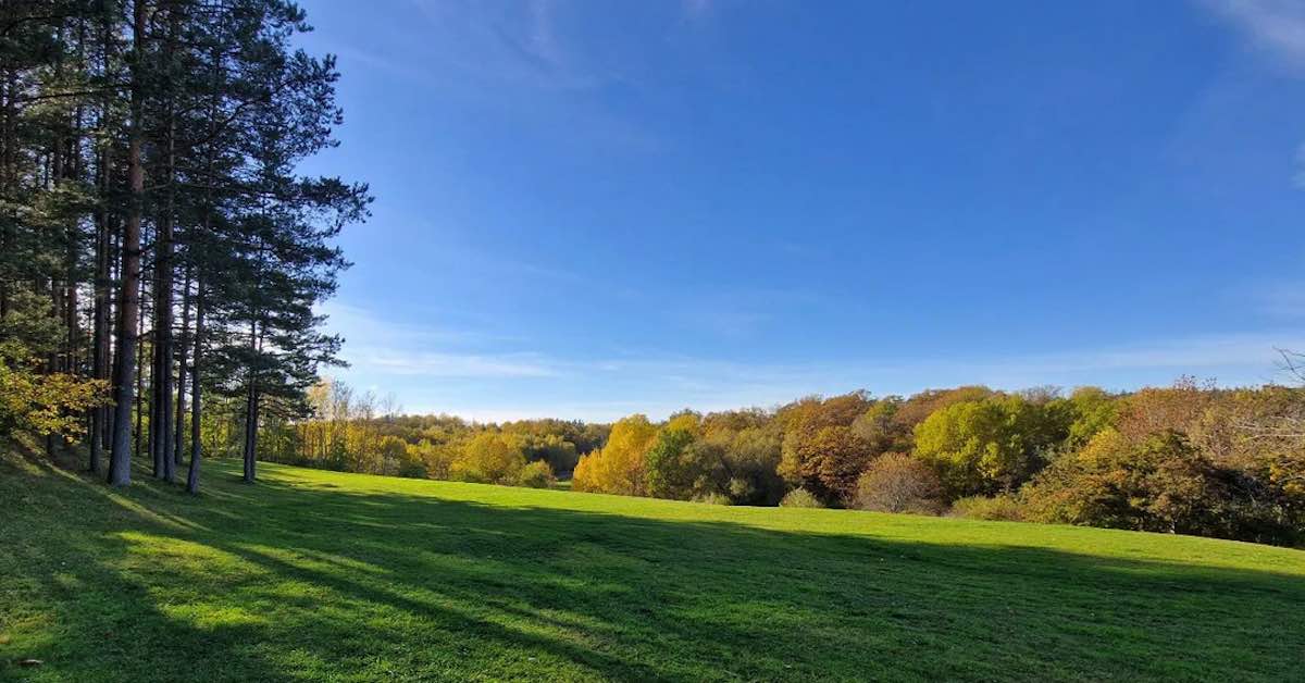 World's Best Disc Golf Courses Järva Disc Golf Park, Stockholm, Sweden