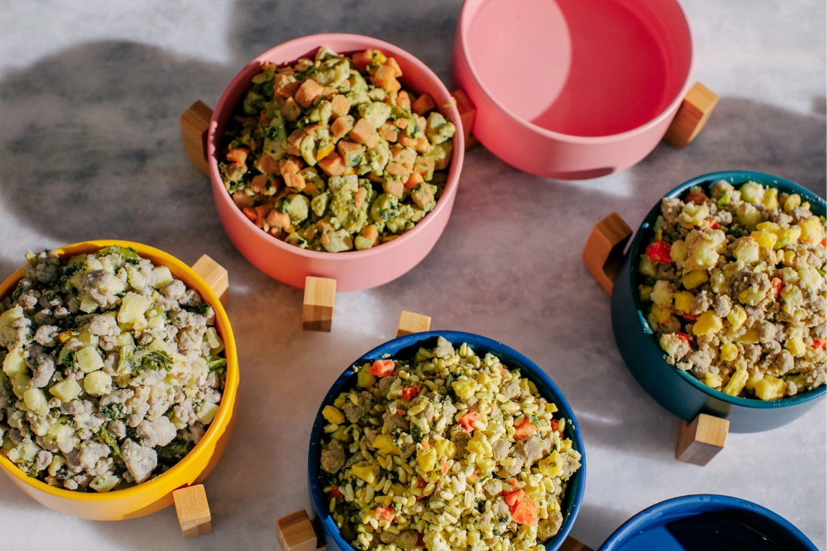 Multiple bowls of Nom Nom dog food