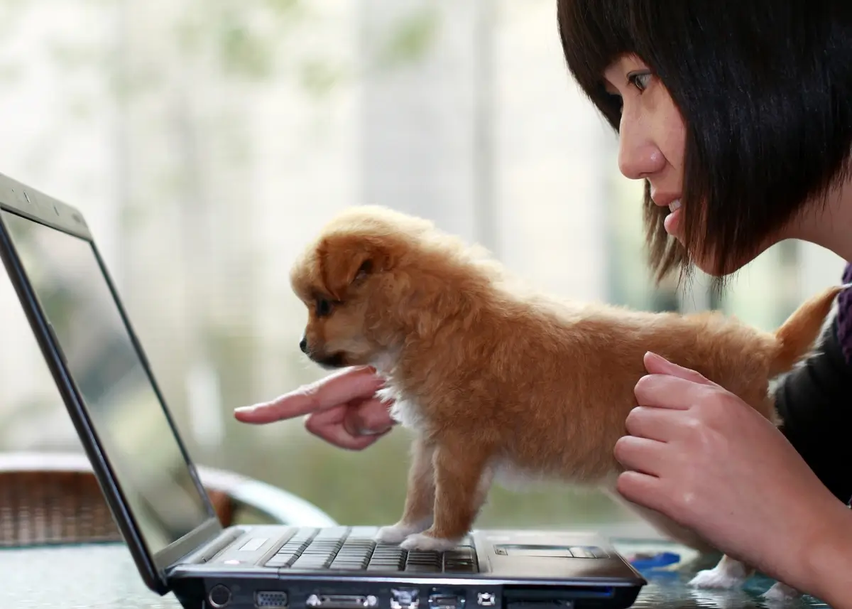 A woman points to a computer screen as a puppy looks on