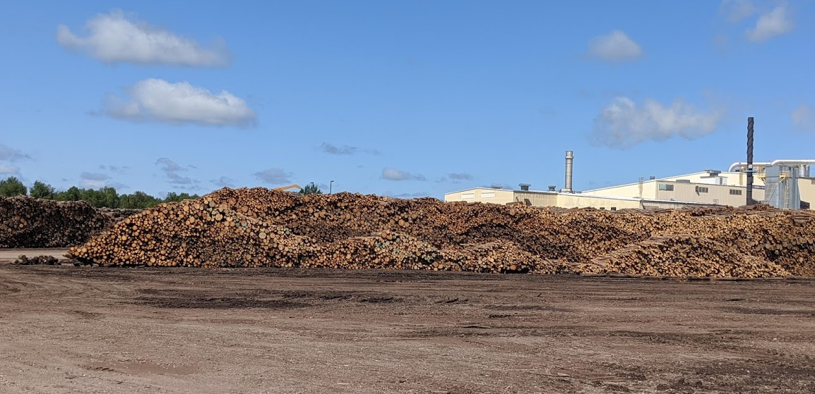 Wood pile