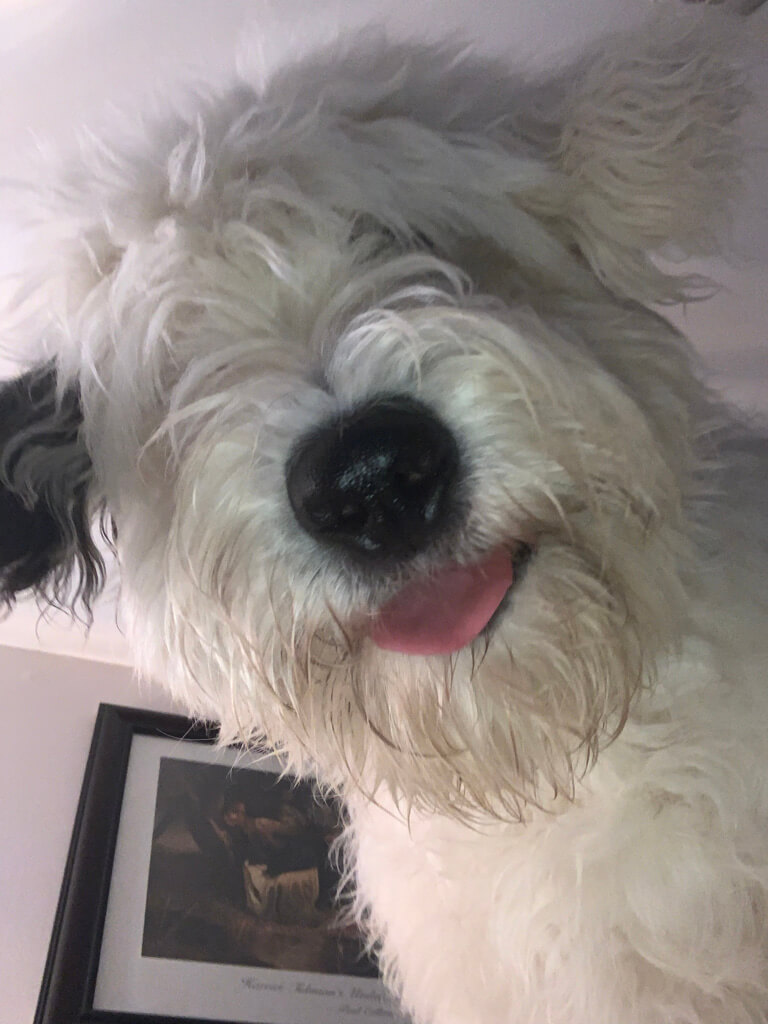 Xmas card - Devlyn Ray.jpg