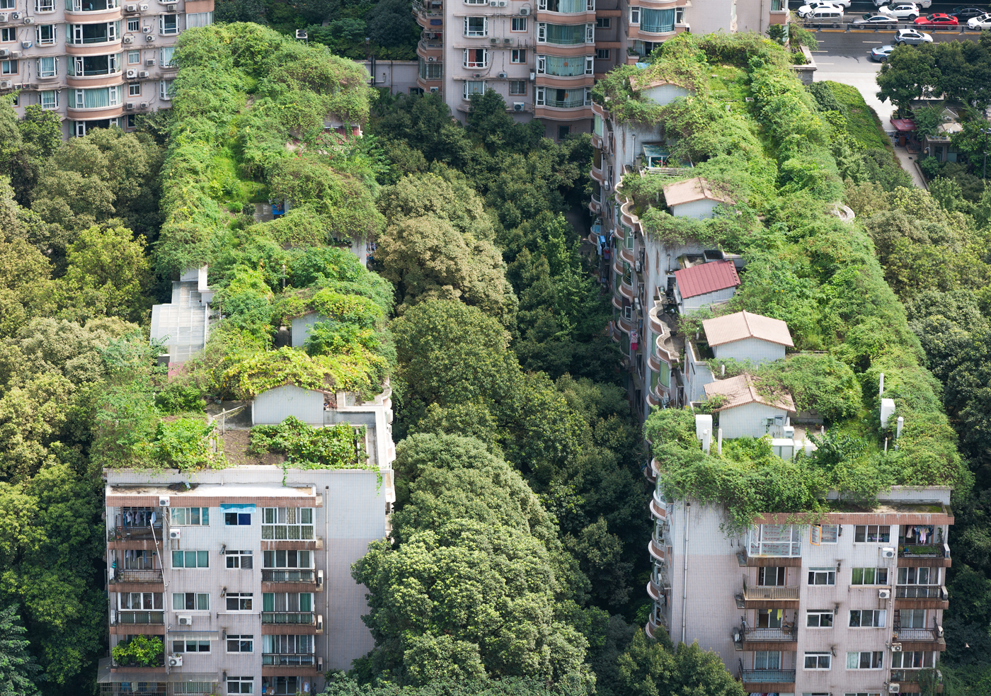 Green roofs in an urban, resilient area