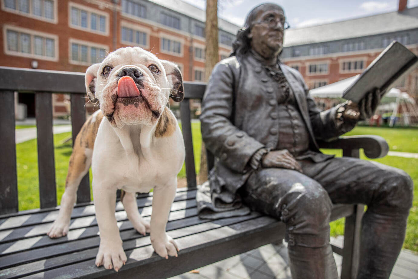 handsomedanyale (1) (1).jpeg