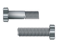 bolt vs screw