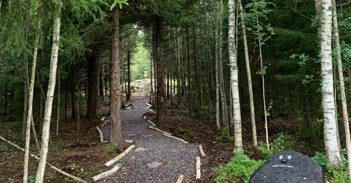 A very narrow disc golf fairway lined by wook and covred in gravel weaving through tightly-packed trees on either side