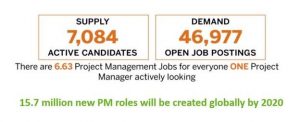 PMP infographic