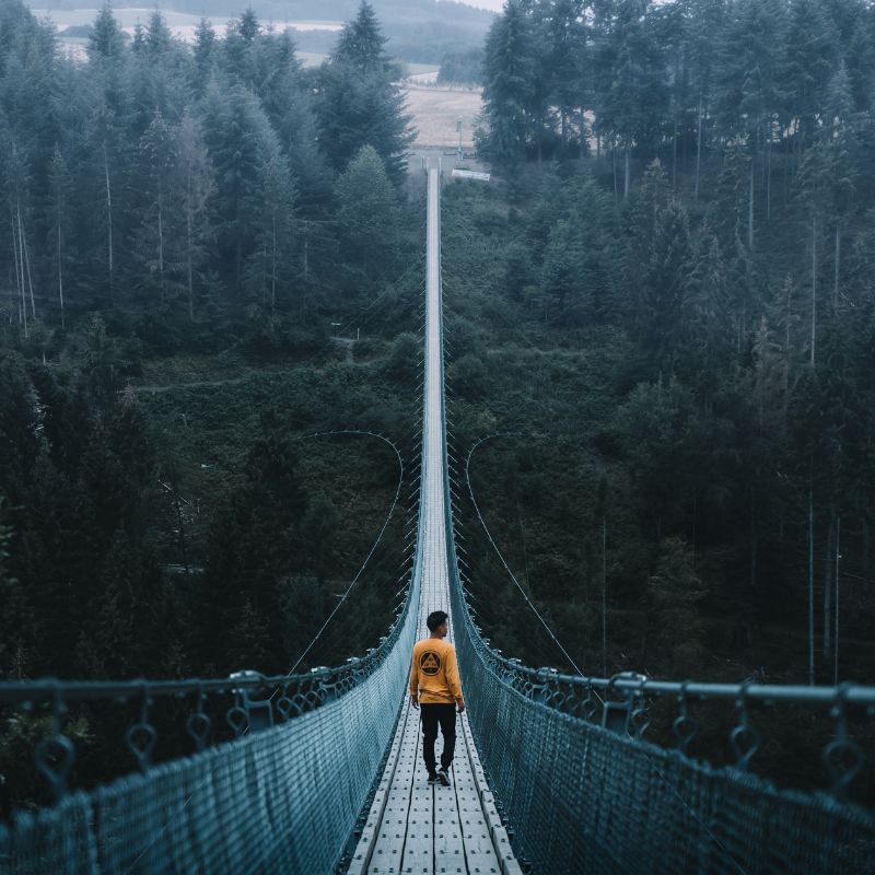 Bra for you - What do a bra and a suspension bridge have in common?  Actually much more than you think. They share the same construction  principals! The suspension bridges use cables