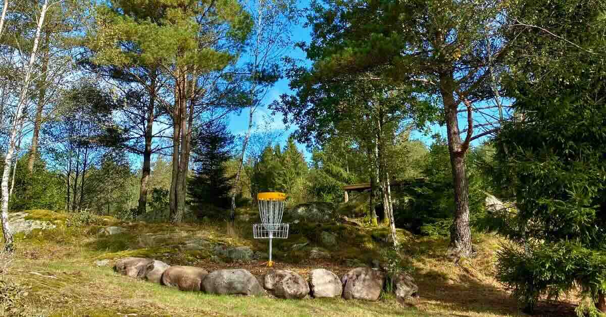 A yellow-banded disc golf basket with a half-ring of rocks around it in an area of mixed trees and open space
