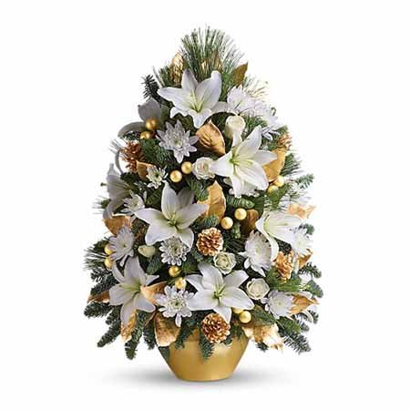 Gold and white lily mini live Christmas tree deliveries