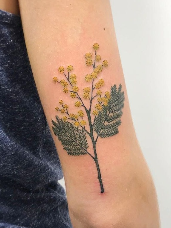 Acacia Mimosa Wattle flower tattoo