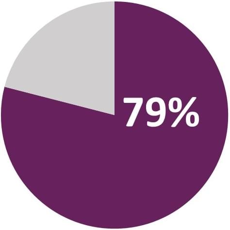 pie graph showing 79% in purple