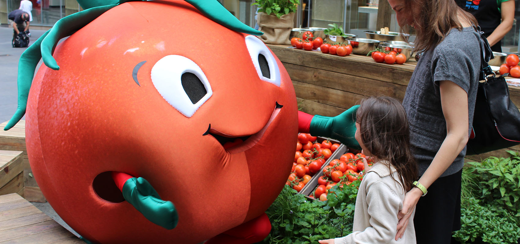 seeding-intrigue-at-little-food-festival-rijk-zwaan