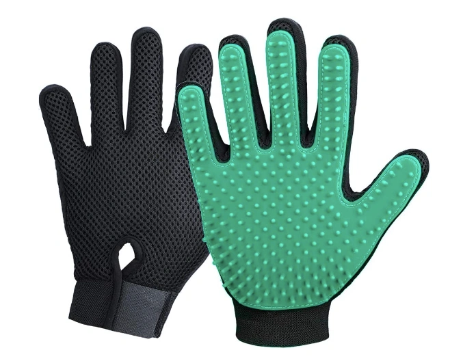 gloves.webp